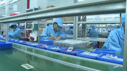 賓陽縣:規上企業工業運行向好 助力縣域經濟揚帆“遠航”