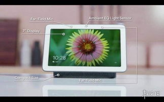 時代周刊 2018十大電子產(chǎn)品 xbox無障礙手柄第一